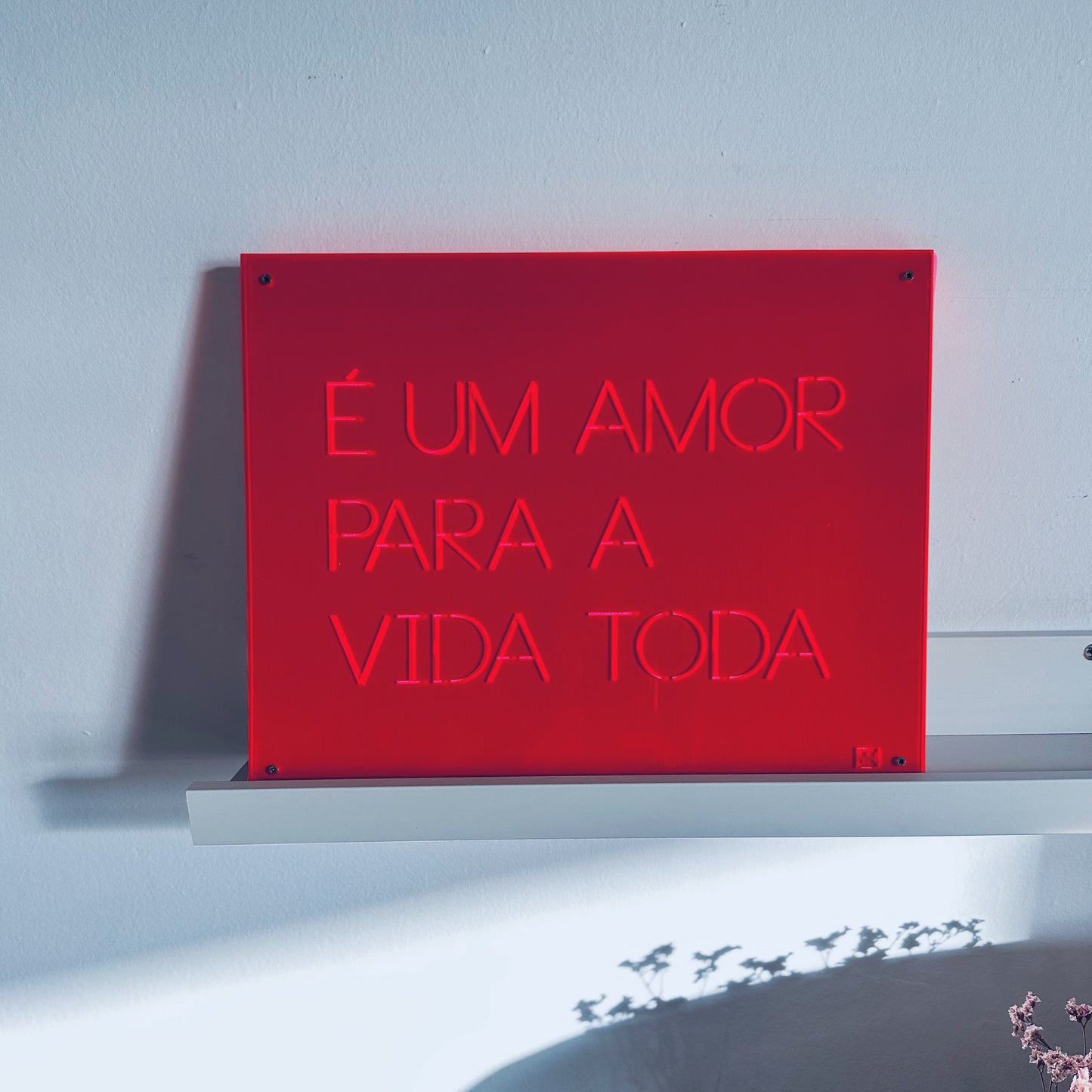 Um Amor para a vida toda